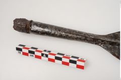 Foto von Eisenlanzenspitze (NHMW-PRAE-002269)